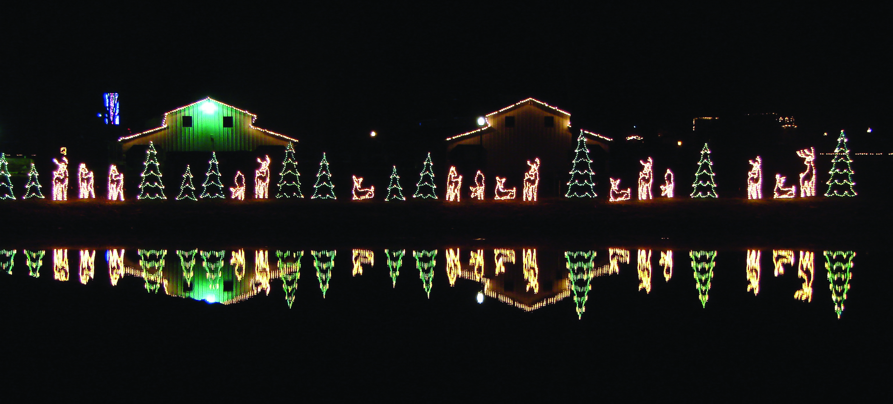 S'mores & Lights, Need More?